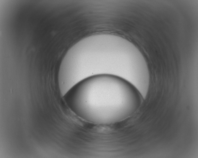X0000083570512200702090819