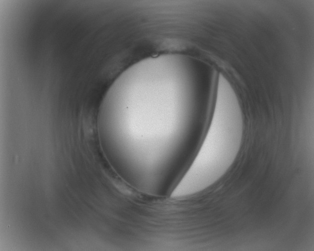 X0000083570517200702090818