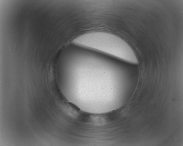 X0000083570520200702090818