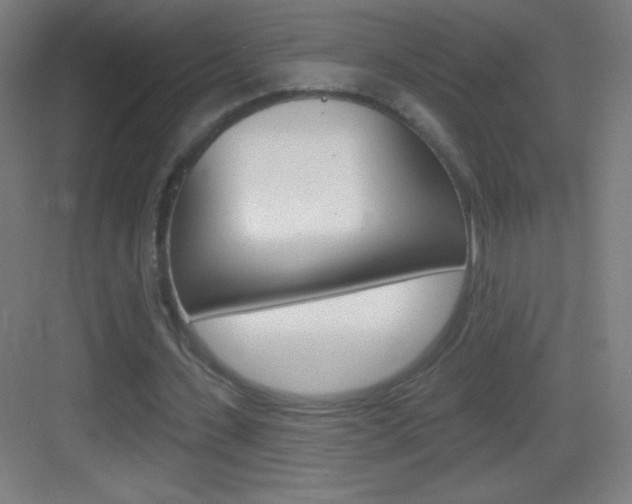 X0000083570531200702090817