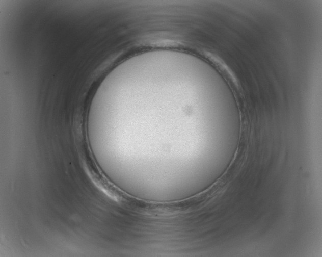 X0000083570533200702090817