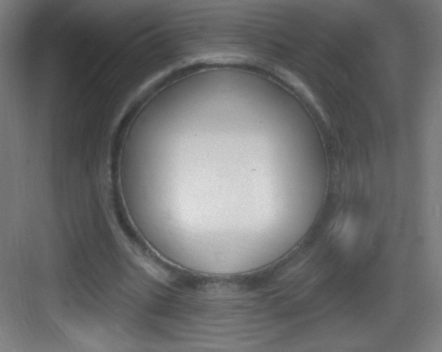 X0000083570535200702090818