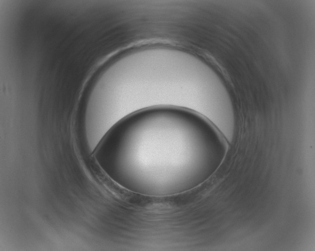 X0000083570536200702090818