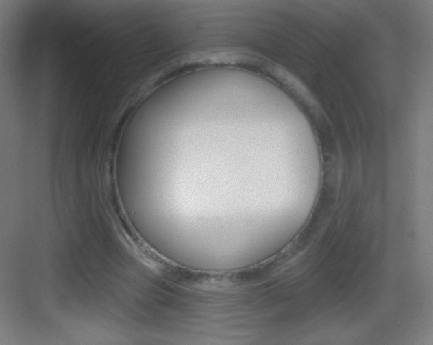 X0000083570537200702090818