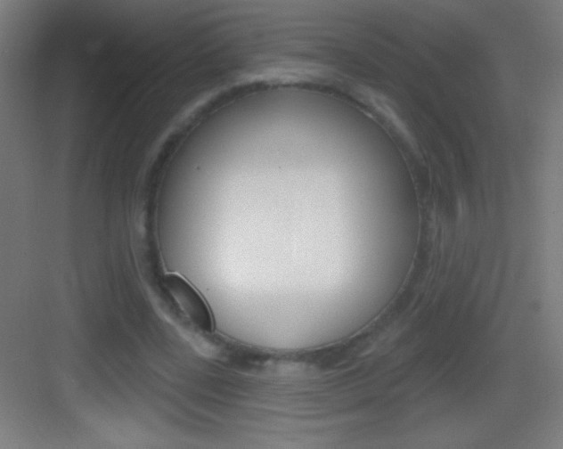 X0000083570539200702090818