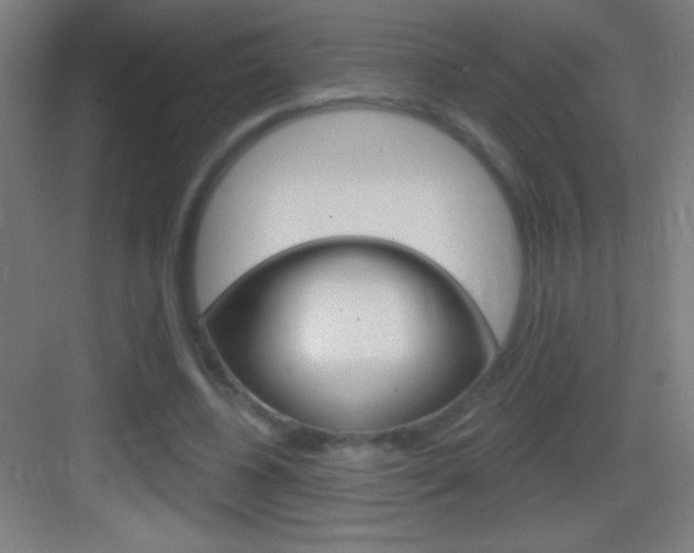 X0000083570540200702090818