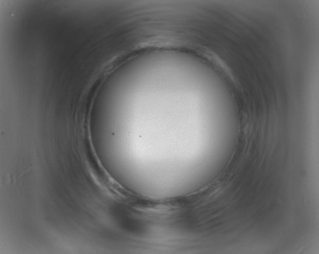 X0000083570542200702090818