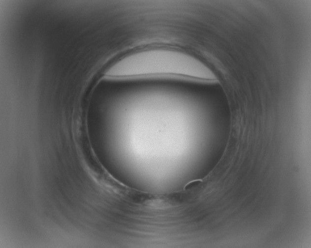 X0000083570544200702090818