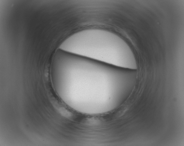 X0000083570545200702090818