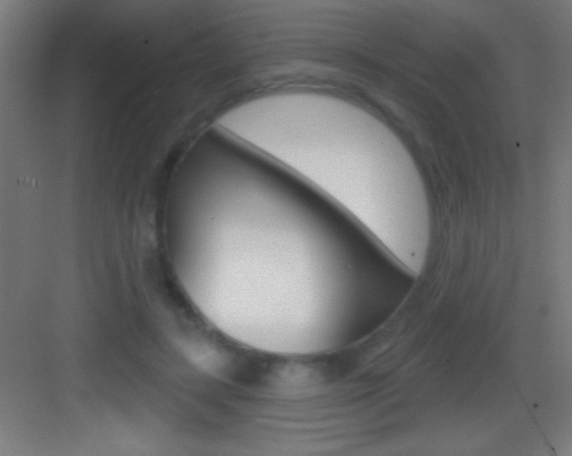 X0000083570547200702090818