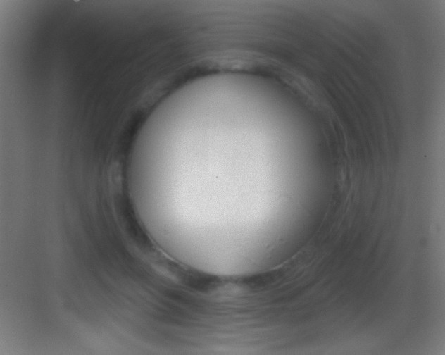 X0000083570551200702090818