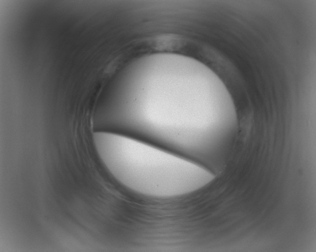 X0000083570554200702090818
