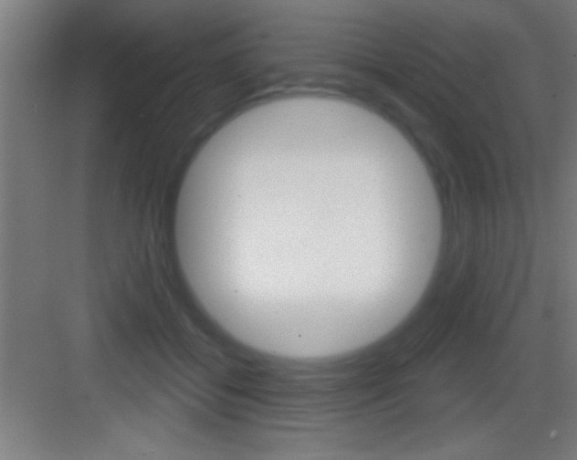 X0000083570556200702090818