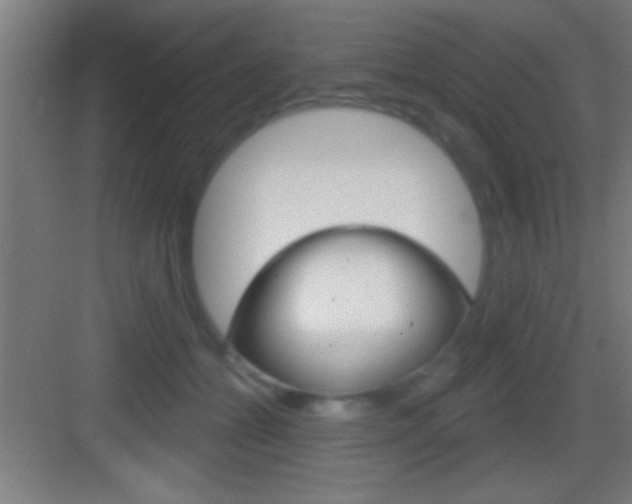 X0000083570558200702090818
