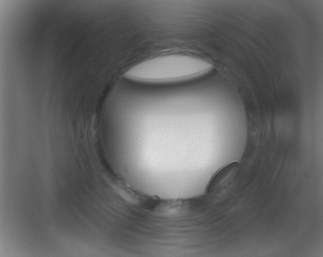 X0000083570563200702090818