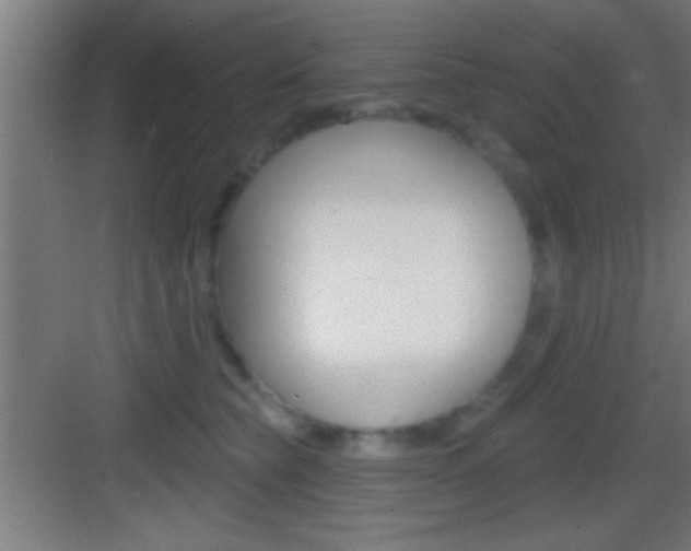 X0000083570565200702090818
