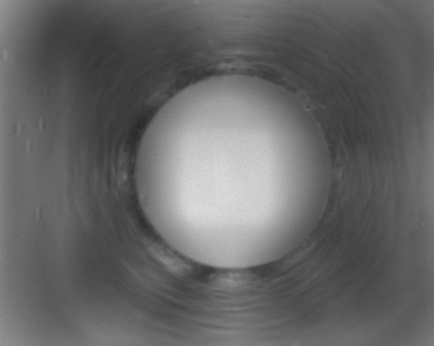X0000083570567200702090818