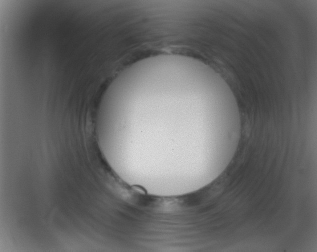 X0000083570569200702090818