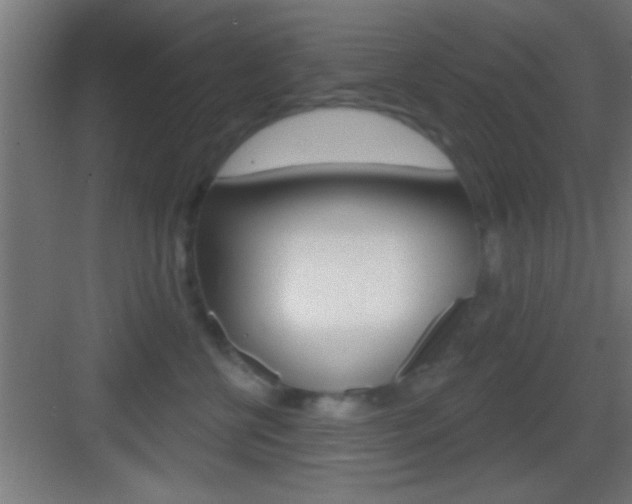 X0000083570570200702090818