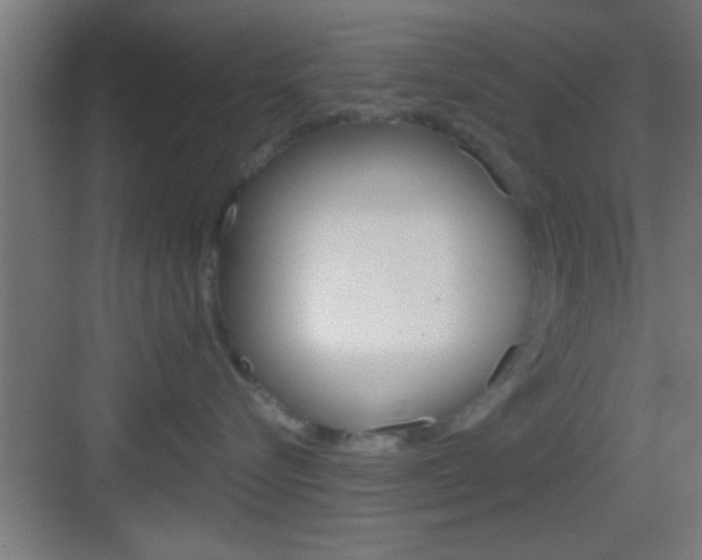 X0000083570576200702090818