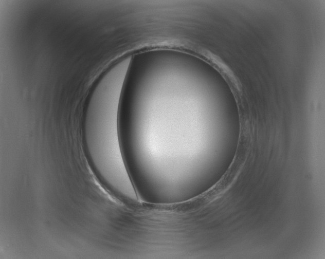 X0000083570577200702090817