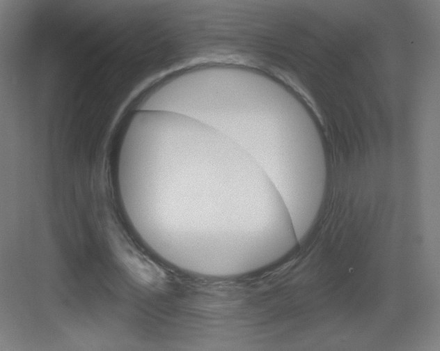 X0000083570579200702090817