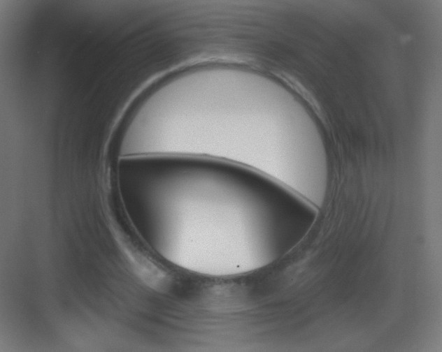 X0000083570584200702090817