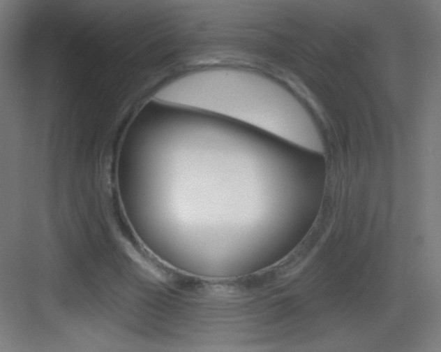 X0000083570585200702090817
