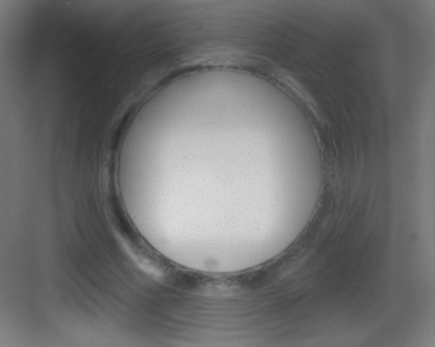 X0000083570586200702090817
