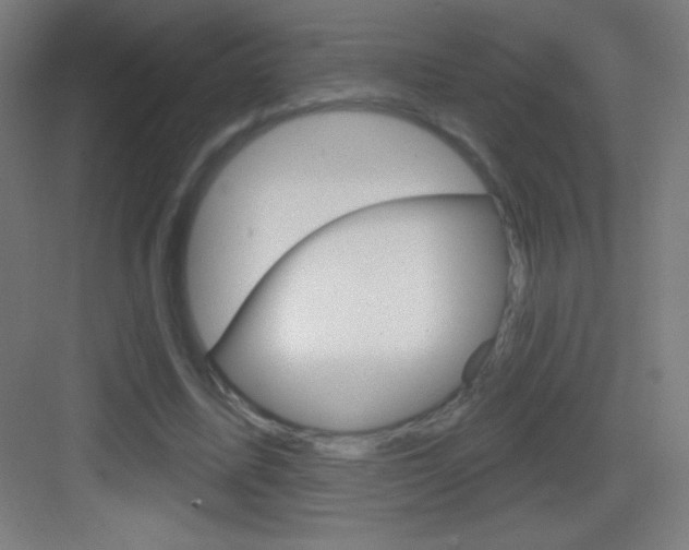 X0000083570587200702090817