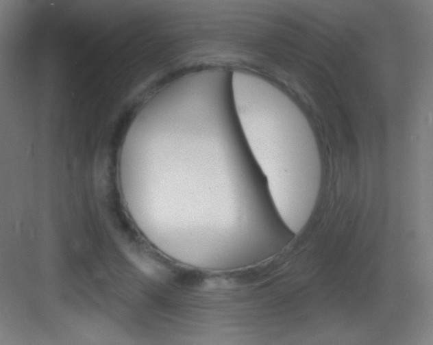 X0000083570591200702090817