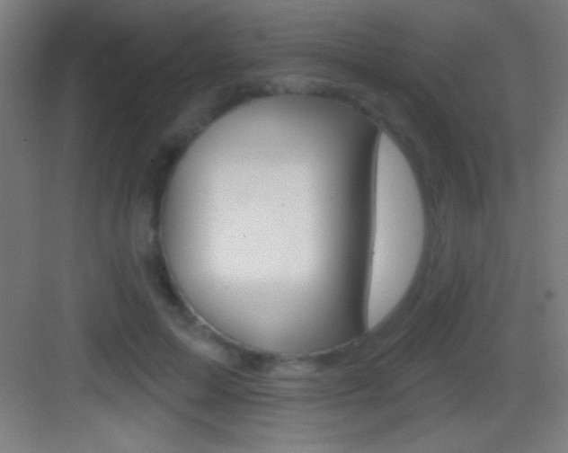 X0000083570599200702090817