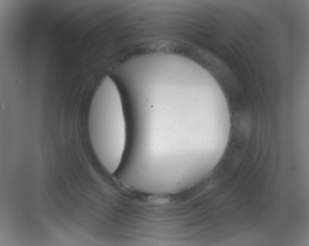 X0000083570602200702090817