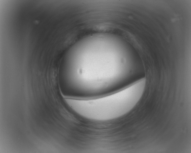 X0000083570605200702090817