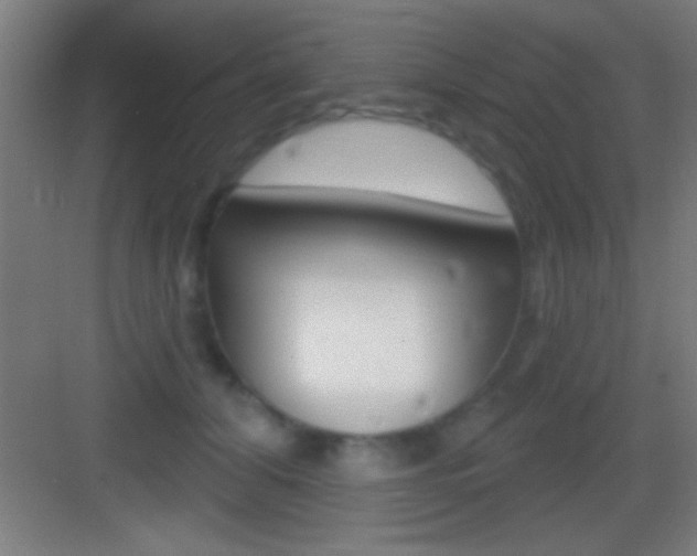 X0000083570608200702090817