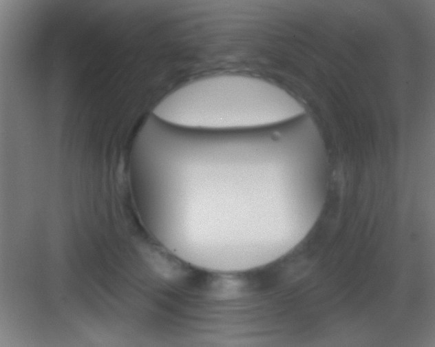 X0000083570610200702090817