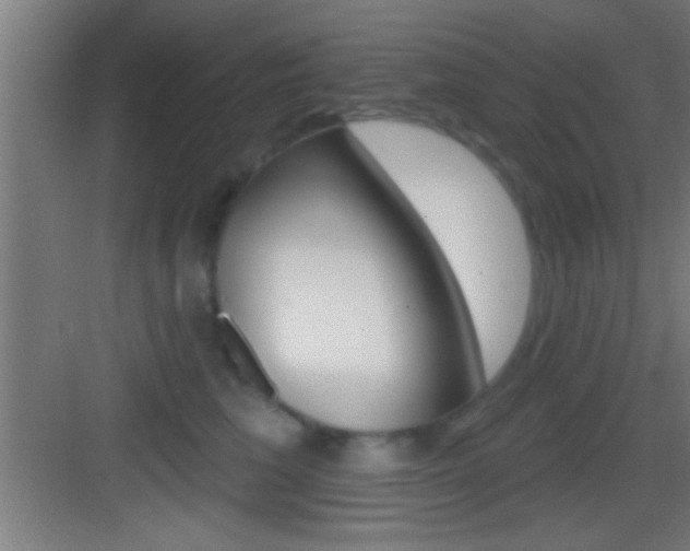 X0000083570613200702090817