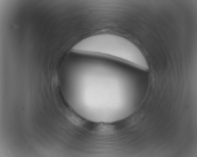 X0000083570617200702090817