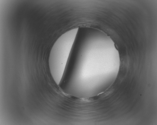 X0000083570623200702090817
