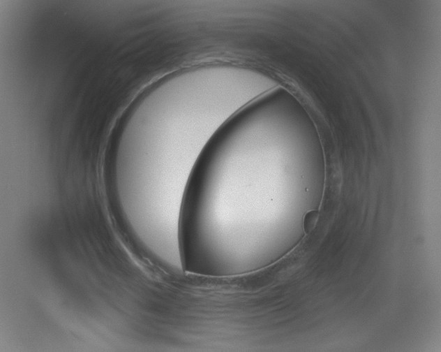 X0000083570626200702090816