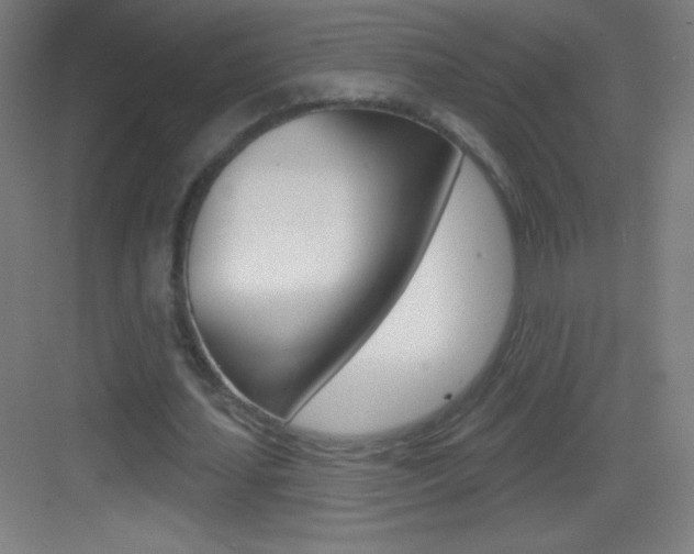 X0000083570627200702090816