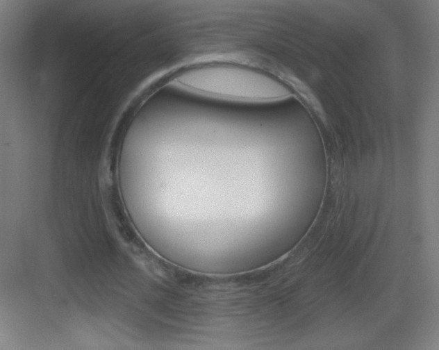 X0000083570628200702090816