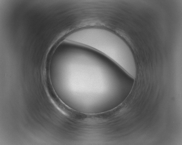 X0000083570630200702090816