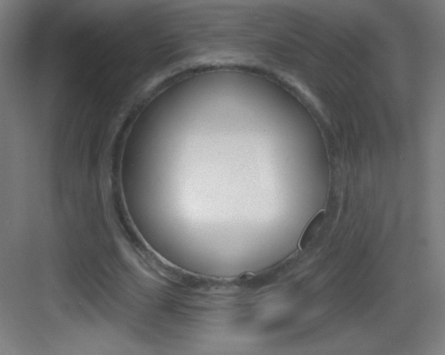 X0000083570631200702090816