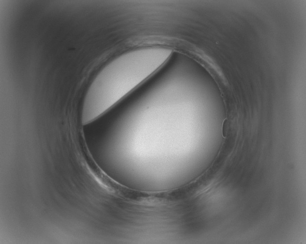 X0000083570633200702090816