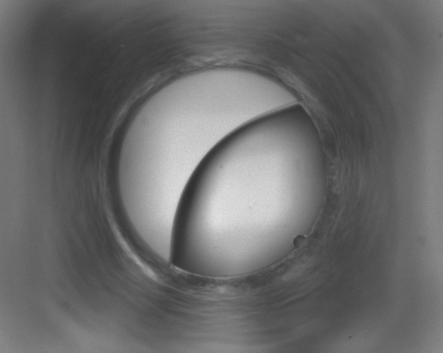X0000083570634200702090816