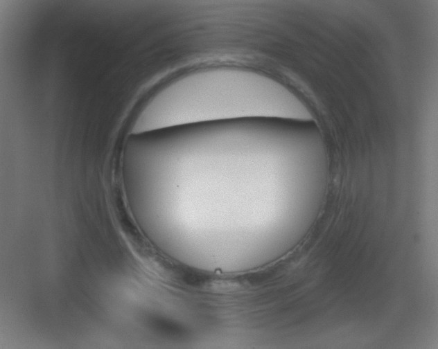 X0000083570636200702090816