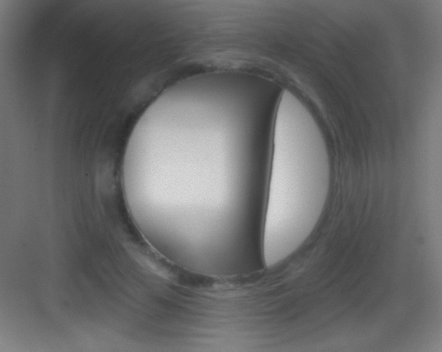 X0000083570641200702090816
