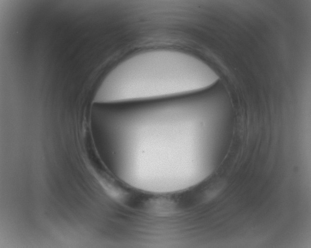 X0000083570644200702090816