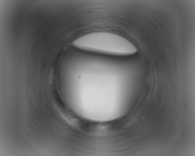 X0000083570647200702090816